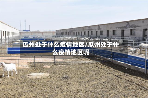 瓜州处于什么疫情地区/瓜州处于什么疫情地区呢