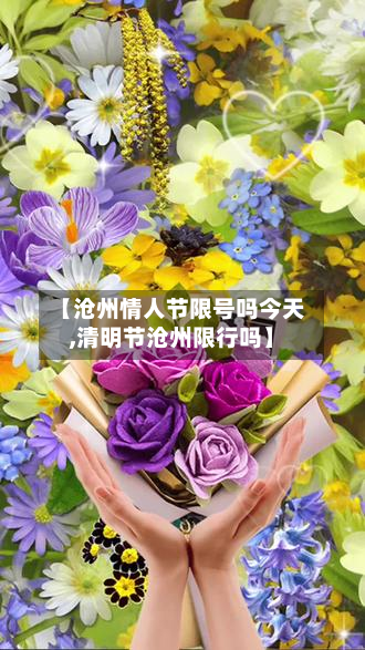 【沧州情人节限号吗今天,清明节沧州限行吗】-第2张图片