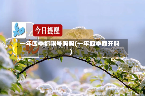 一年四季都限号吗吗(一年四季都开吗)