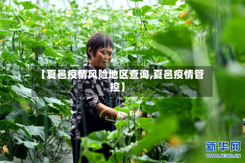 【夏邑疫情风险地区查询,夏邑疫情管控】