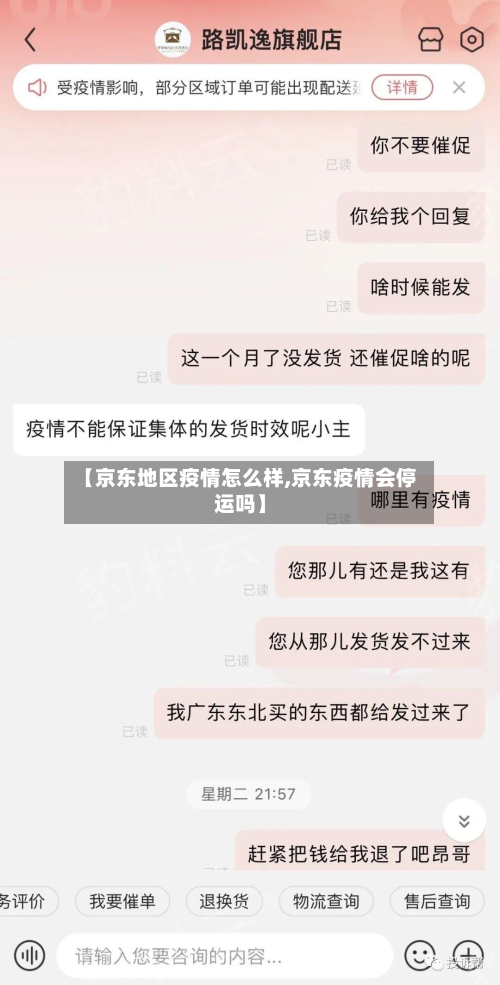 【京东地区疫情怎么样,京东疫情会停运吗】-第2张图片