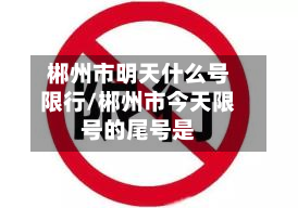 郴州市明天什么号限行/郴州市今天限号的尾号是-第3张图片