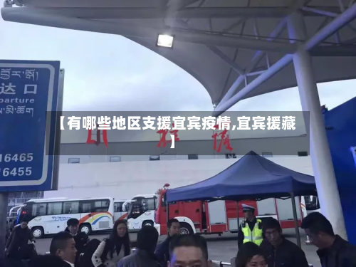 【有哪些地区支援宜宾疫情,宜宾援藏】-第3张图片