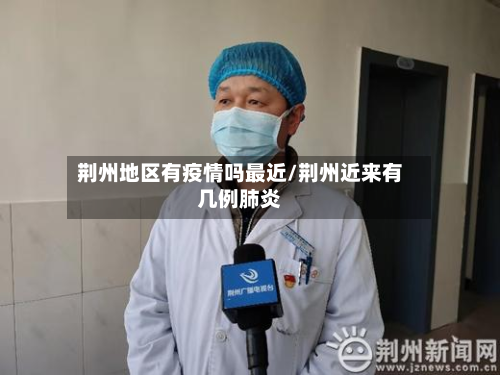荆州地区有疫情吗最近/荆州近来有几例肺炎-第3张图片