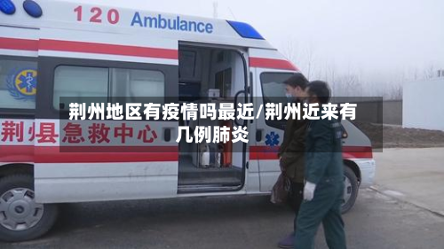 荆州地区有疫情吗最近/荆州近来有几例肺炎-第2张图片