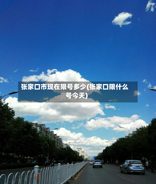 张家口市现在限号多少(张家口限什么号今天)