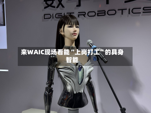 来WAIC现场看能“上岗打工”的具身智能-第3张图片