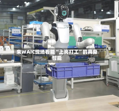 来WAIC现场看能“上岗打工”的具身智能-第2张图片
