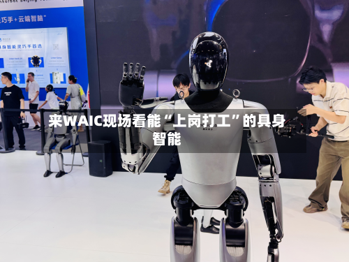 来WAIC现场看能“上岗打工”的具身智能