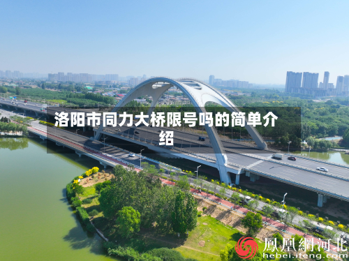 洛阳市同力大桥限号吗的简单介绍-第3张图片