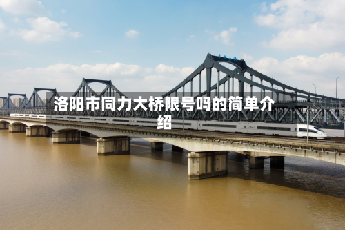 洛阳市同力大桥限号吗的简单介绍-第2张图片