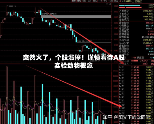 突然火了，个股涨停！谨慎看待A股实验动物概念