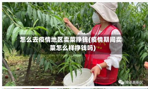 怎么去疫情地区卖菜挣钱(疫情期间卖菜怎么样挣钱吗)-第2张图片