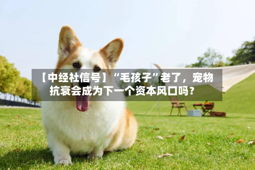 【中经社信号】“毛孩子	”老了，宠物抗衰会成为下一个资本风口吗？-第2张图片