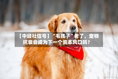 【中经社信号】“毛孩子”老了，宠物抗衰会成为下一个资本风口吗？
