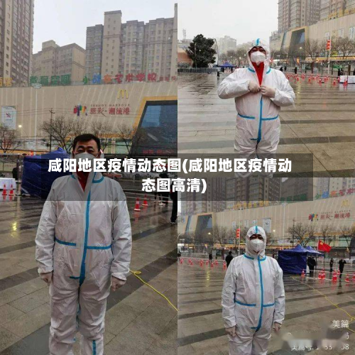 咸阳地区疫情动态图(咸阳地区疫情动态图高清)-第2张图片