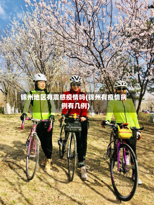 锦州地区有震感疫情吗(锦州有疫情病例有几例)-第2张图片