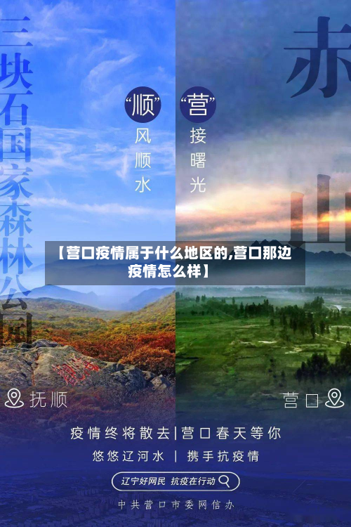 【营口疫情属于什么地区的,营口那边疫情怎么样】