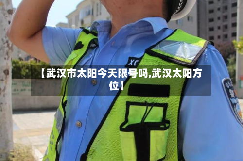 【武汉市太阳今天限号吗,武汉太阳方位】-第3张图片