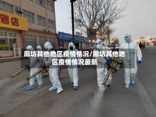 廊坊其他地区疫情情况/廊坊其他地区疫情情况最新