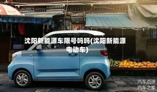 沈阳新能源车限号吗吗(沈阳新能源电动车)-第2张图片