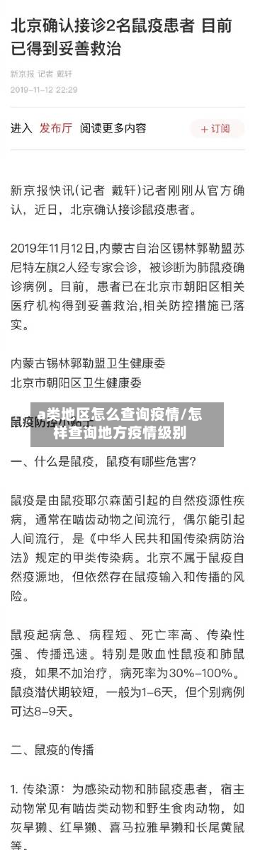 a类地区怎么查询疫情/怎样查询地方疫情级别