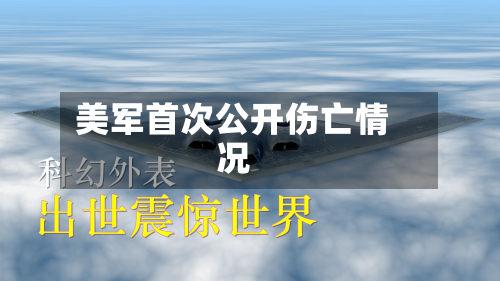 美军首次公开伤亡情况-第2张图片