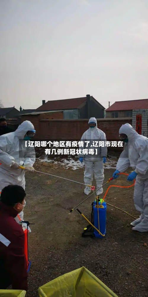 【辽阳哪个地区有疫情了,辽阳市现在有几例新冠状病毒】