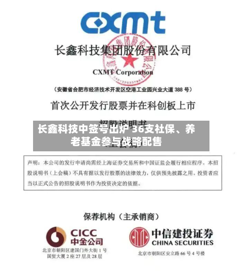 长鑫科技中签号出炉 36支社保、养老基金参与战略配售-第3张图片