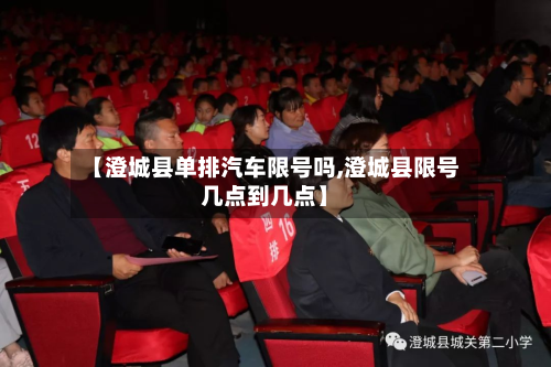 【澄城县单排汽车限号吗,澄城县限号几点到几点】-第3张图片