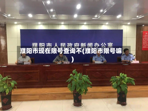 濮阳市现在限号查询不(濮阳市限号嘛)-第3张图片