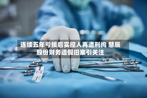 连续五年亏损后实控人再遭刑拘 慧辰股份财务造假旧案引关注-第3张图片