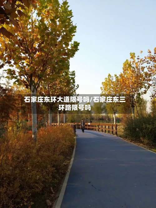 石家庄东环大道限号吗/石家庄东三环路限号吗