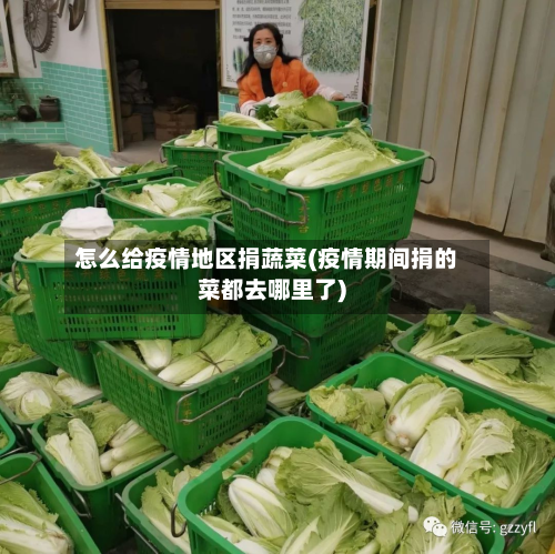 怎么给疫情地区捐蔬菜(疫情期间捐的菜都去哪里了)-第2张图片