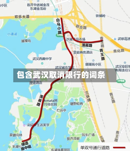 包含武汉取消限行的词条