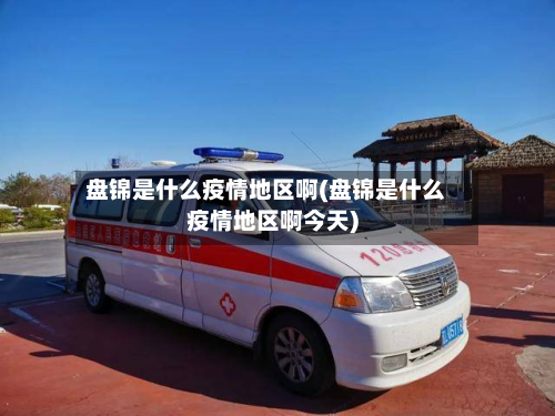 盘锦是什么疫情地区啊(盘锦是什么疫情地区啊今天)-第2张图片