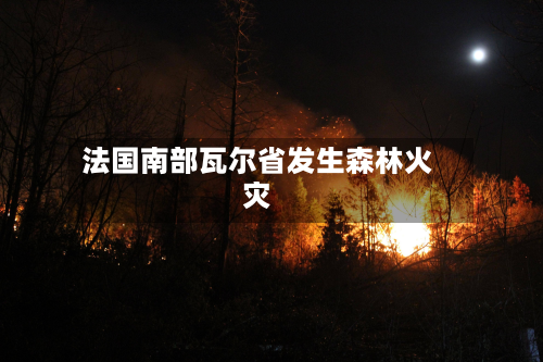 法国南部瓦尔省发生森林火灾