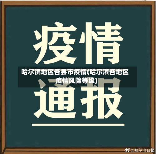哈尔滨地区各县市疫情(哈尔滨各地区疫情风险等级)-第3张图片