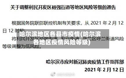 哈尔滨地区各县市疫情(哈尔滨各地区疫情风险等级)-第2张图片
