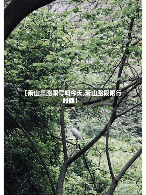 【萧山三路限号吗今天,萧山路段限行时间】