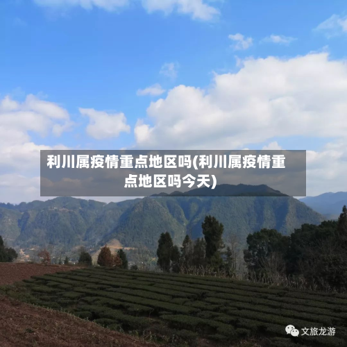 利川属疫情重点地区吗(利川属疫情重点地区吗今天)-第3张图片