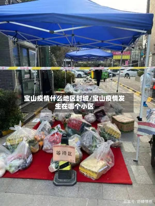 宝山疫情什么地区封城/宝山疫情发生在哪个小区