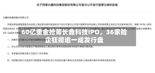 60亿重金抢筹长鑫科技IPO，36家险企狂揽逾一成发行盘