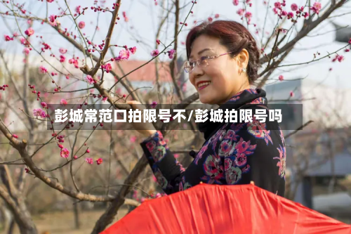 彭城常范口拍限号不/彭城拍限号吗