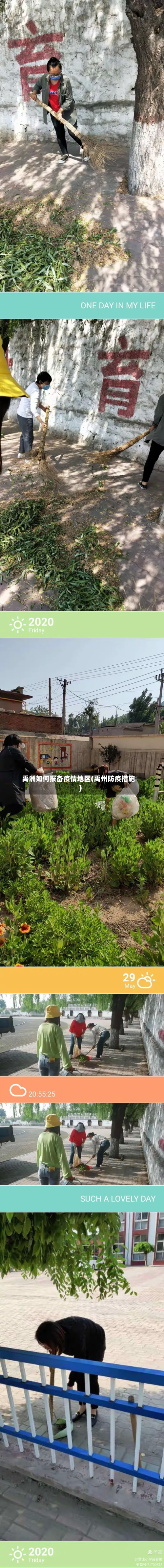 禹洲如何报备疫情地区(禹州防疫措施)-第3张图片