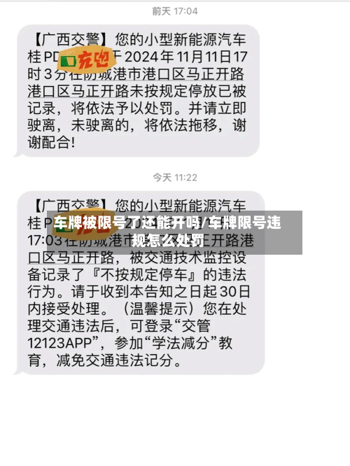 车牌被限号了还能开吗/车牌限号违规怎么处罚