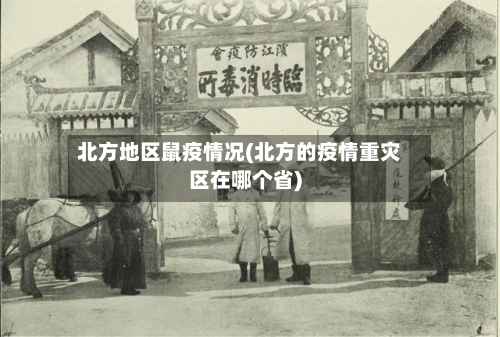 北方地区鼠疫情况(北方的疫情重灾区在哪个省)