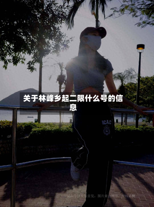 关于林峰乡起二限什么号的信息-第2张图片