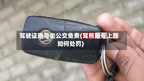 驾驶证限号坐公交免费(驾照限号上路如何处罚)-第2张图片