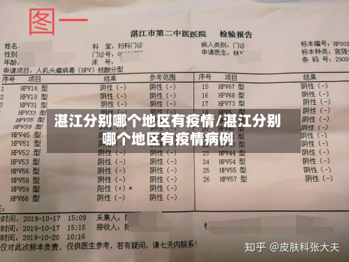 湛江分别哪个地区有疫情/湛江分别哪个地区有疫情病例-第3张图片